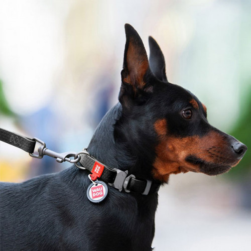 Поводок WAUDOG Waterproof, водостойкий, цвет черный M 1,8 м