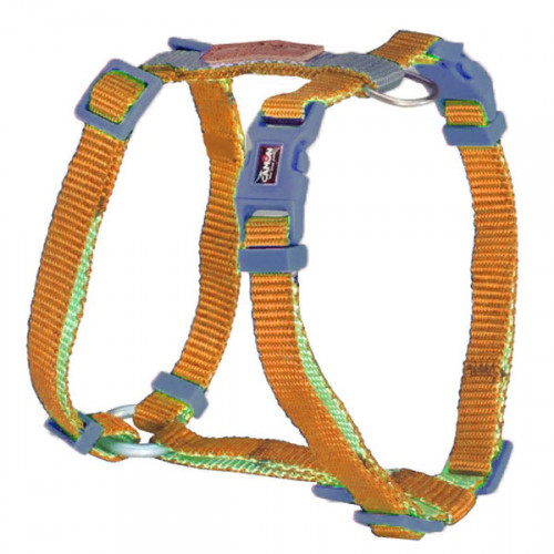 Camon Шлейка "H" формы "DoublePremium", оранжевый/синий, 15x350~600 мм