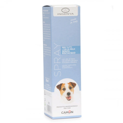 Несмываемый спрей "Camon", 250 мл