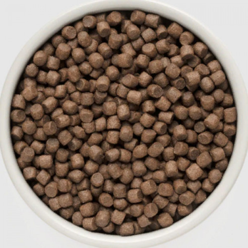 GRANDORF 4 MEAT Adult Mini