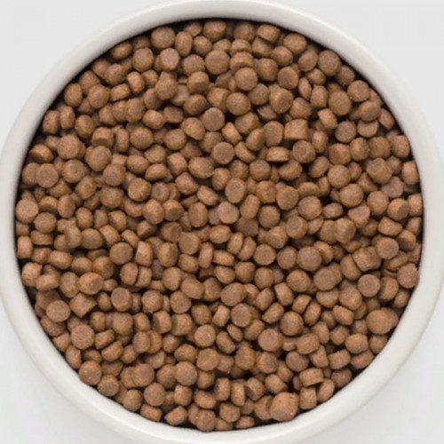 GRANDORF Cat 4 MEAT Adult Sterilised