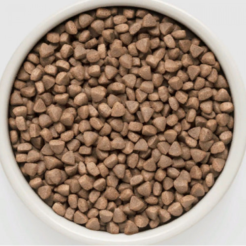 Grandorf Cat White Fish Skin&Coat Care