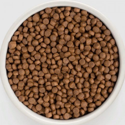 Grandorf Cat 4MEAT Adult Indoor