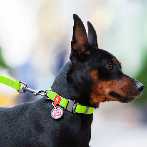 Ошейник водостойкий WAUDOG Waterproof, цвет салатовый, L (34-49 см)