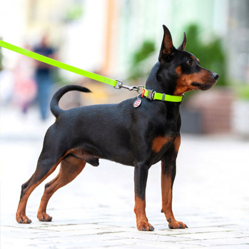 Ошейник водостойкий WAUDOG Waterproof, цвет салатовый, L (34-49 см)