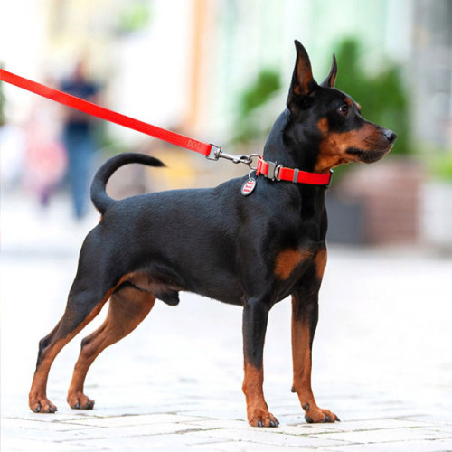 Ошейник водостойкий WAUDOG Waterproof, цвет красный, M (28-40 см)