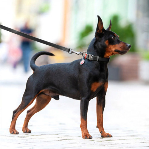 Ошейник водостойкий WAUDOG Waterproof, цвет черный, S (25-35 см)