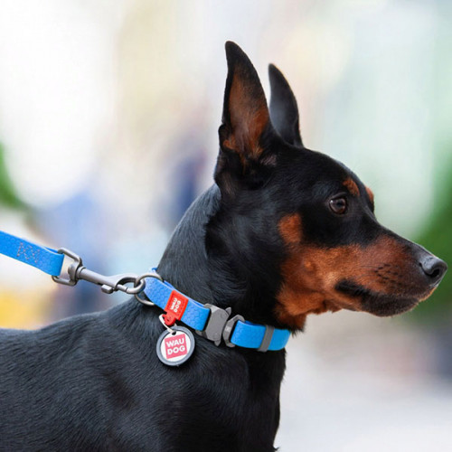 Ошейник водостойкий WAUDOG Waterproof, цвет голубой, М (28-40 см)