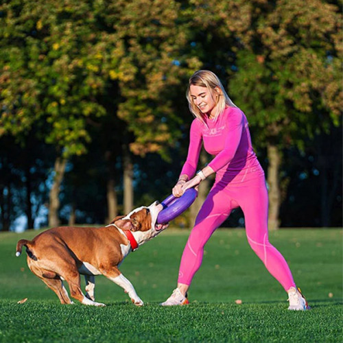 Игрушка для апорта Puller Maxi, фиолетовый (29 см)