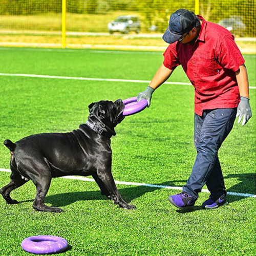 Игрушка для апорта Puller Maxi, фиолетовый (29 см)