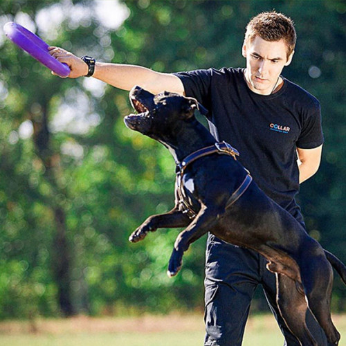 Игрушка для апорта Puller Standart, фиолетовый (28 см)