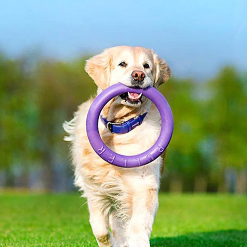 Игрушка для апорта Puller Standart, фиолетовый (28 см)