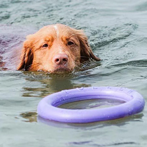 Игрушка для апорта Puller Standart, фиолетовый (28 см)