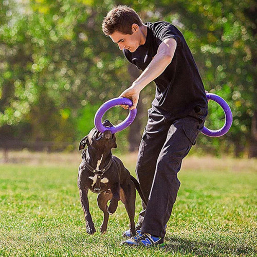 Игрушка для апорта Puller Standart, фиолетовый (28 см)