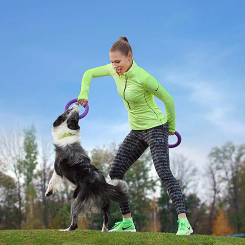 Игрушка для апорта Puller Midi, фиолетовый (19,5 см)