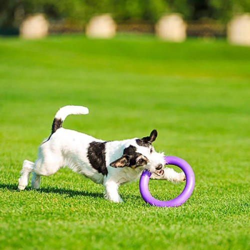 Игрушка для апорта Puller Midi, фиолетовый (19,5 см)