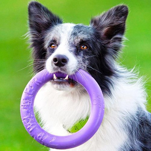 Игрушка для апорта Puller Midi, фиолетовый (19,5 см)