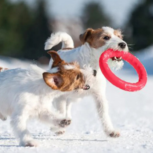 Игрушка для апорта PitchDog (17см) 