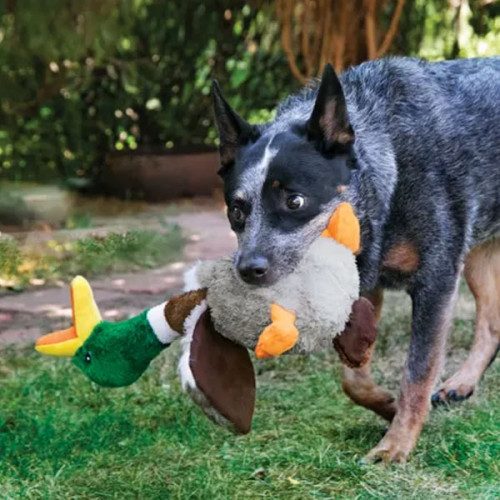 Игрушка плюшевая - KONG TOY SHAKERS, утка S