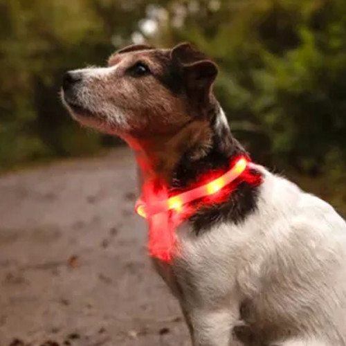 ОШЕЙНИК С 3 УРОВНЯМИ СВЕТА, красный цвет (20-35 см)