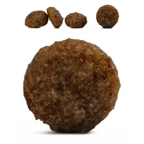 Mini Puppy Lamb & Rice