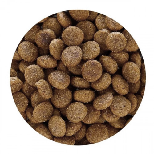 Happy Dog Supreme Sensible Toscana