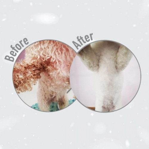 Nature's protection Superior Care White Dogs GF Small and Mini Adult - salmon