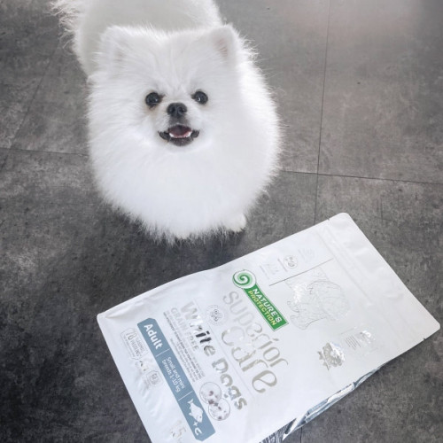 Nature's protection Superior Care White Dogs GF Small and Mini Adult - white fish