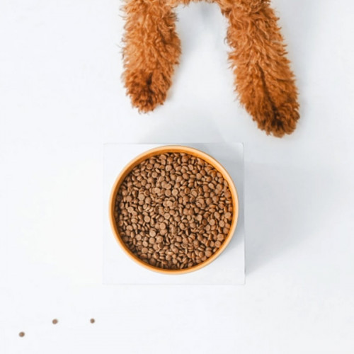 Nature's Protection Superior Care Red Coat GF Small and Mini Adult - salmon