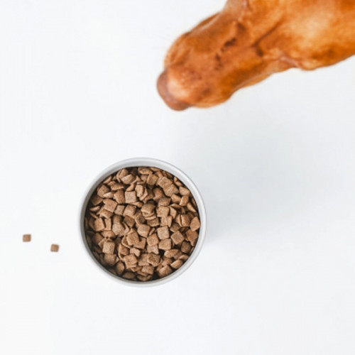 Nature's Protection Superior Care Red Coat GF All breeds Adult - salmon