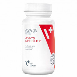 VET Expert Joint&Mobility