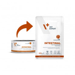 VetExpert Diet Intestinal Cat