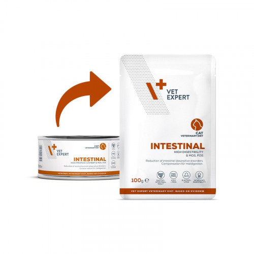 VetExpert Diet Intestinal Cat