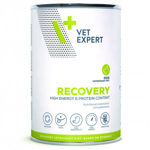 VetExpert Diet Recovery Dog 