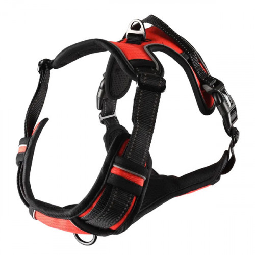 Шлейка BALOU красная, L