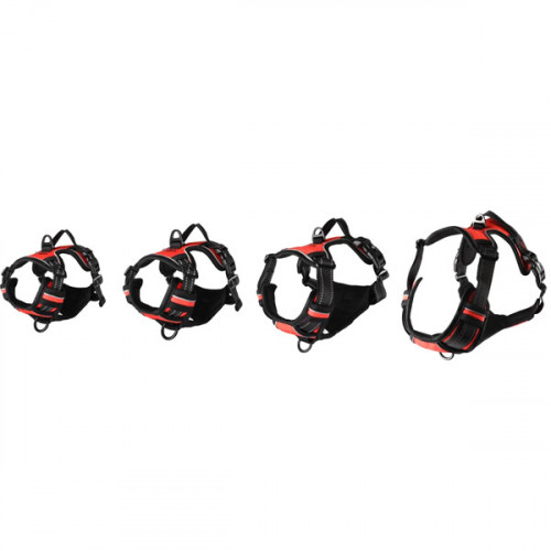 Шлейка BALOU красная, L