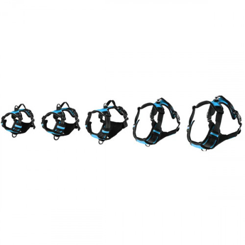 Шлейка BALOU синяя, XL