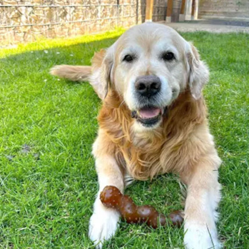 Игрушка с шипами RUBBA (19,5см)