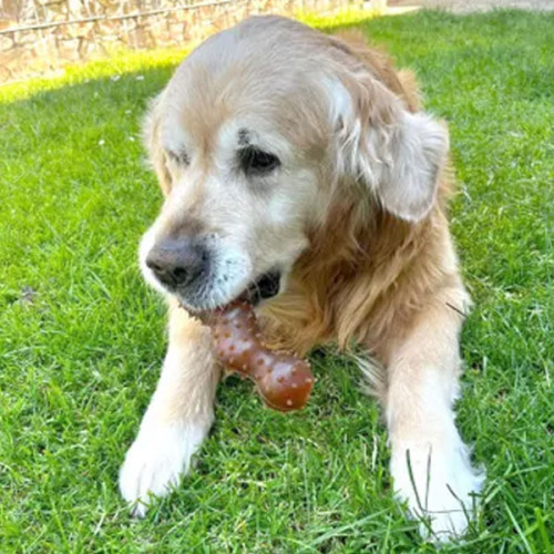 Игрушка с шипами RUBBA (19,5см)