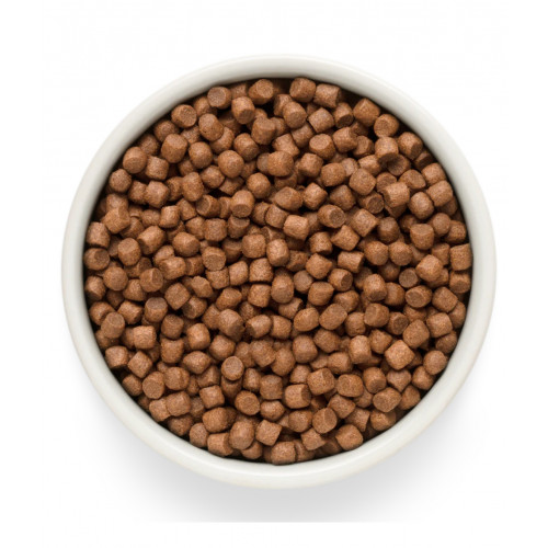 GRANDORF Fresh Salmon Adult Mini