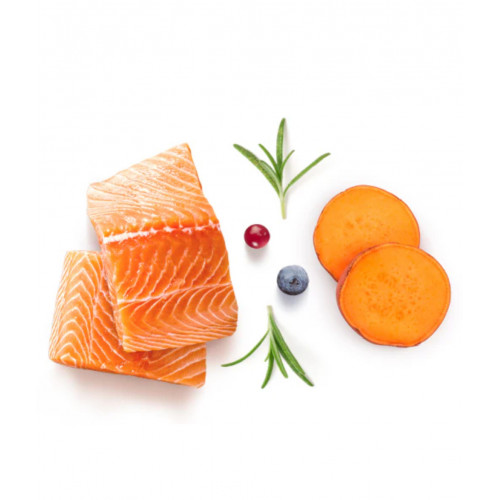 GRANDORF Fresh Salmon Adult Mini