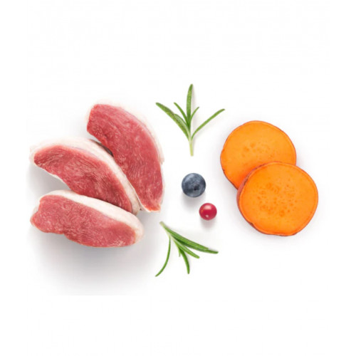 GRANDORF Fresh DUCK Adult Mini