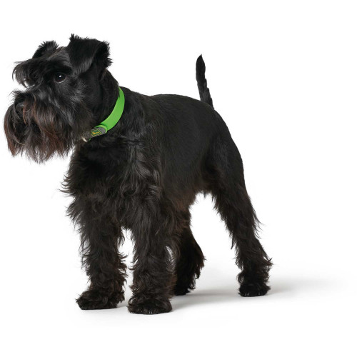 Hunter CONVENIENCE Basic Collar S-M ( 33 - 41 cm)  в ассортименте цветов
