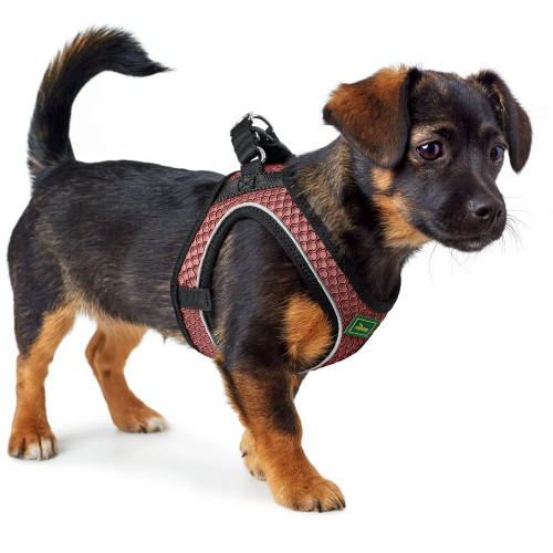 Hunter HILO Comfort шлея XS-S (цвета в ассортименте)