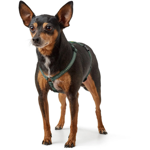 Hunter Tripoli шлея XS-S 37-52 (Цвета в ассортименте)