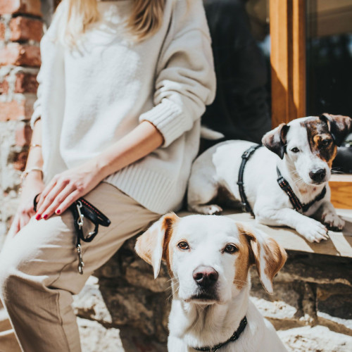 Поводок-перестёжка Hunter Tripoli 10/200 (Цвета в ассортименте)