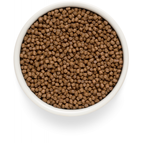 Grandorf Fresh Lamb Kitten/Pregnant Cat (котенок или для беременных кошек) 