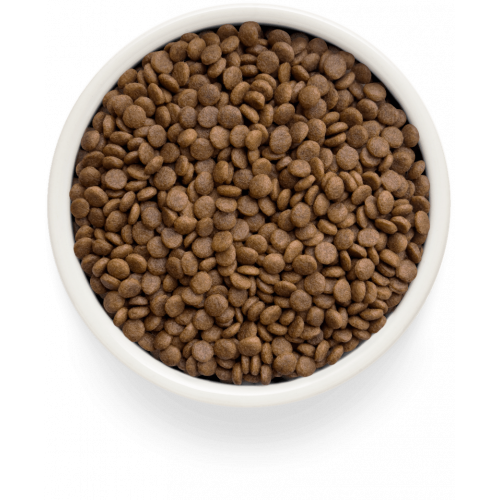 Grandorf Fresh Turkey Adult Cat