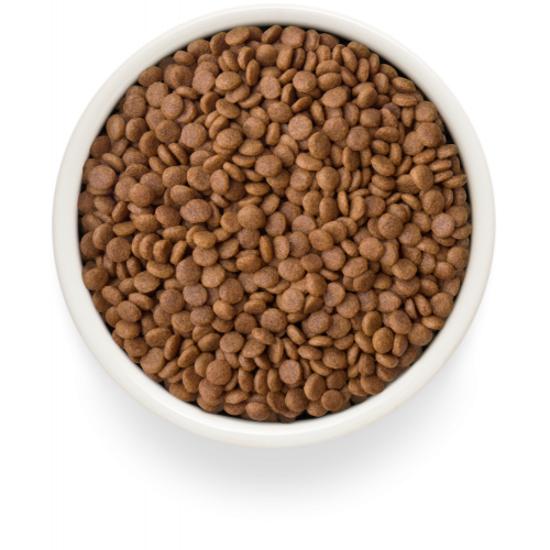 Grandorf Fresh Duck Adult Cat