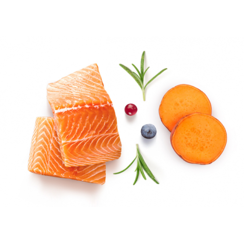 Grandorf Fresh Salmon Adult Cat